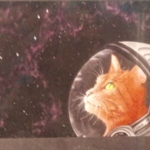 Astronaut Cat Coaster/Tile, Easel